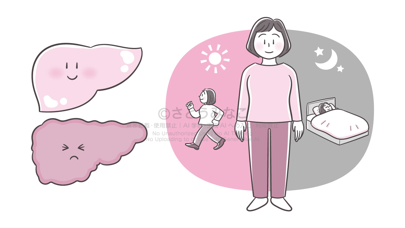 肝臓の脂肪は３日で落ちる｜元気な肝臓くんと苦しい肝臓くん、女性の昼と夜